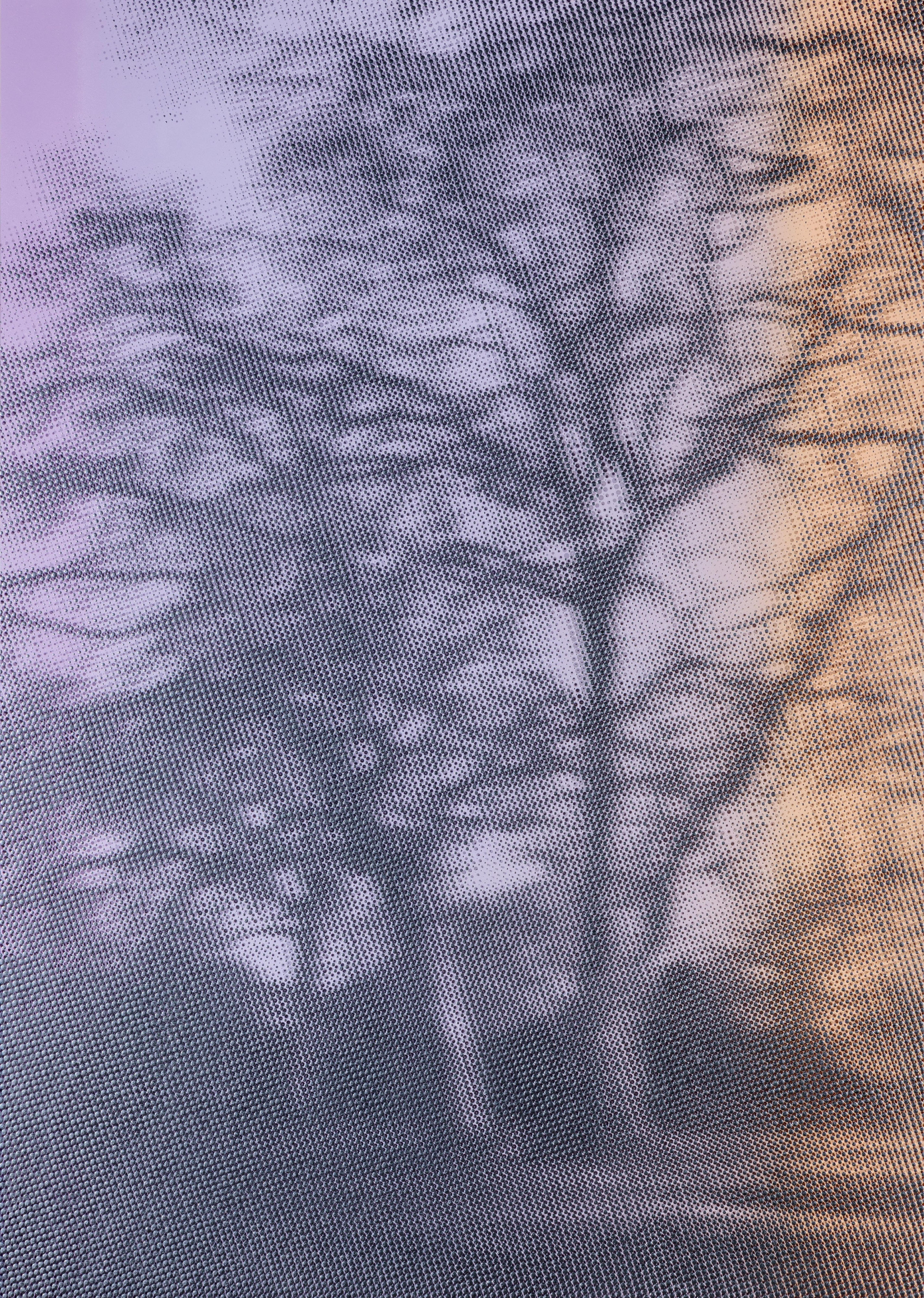 Portrait of a Tree in Lilac and Peach